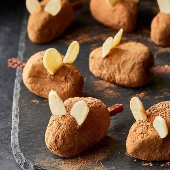 Blind Mice Exps Rc25fall 278294 Dr 02 28 01b