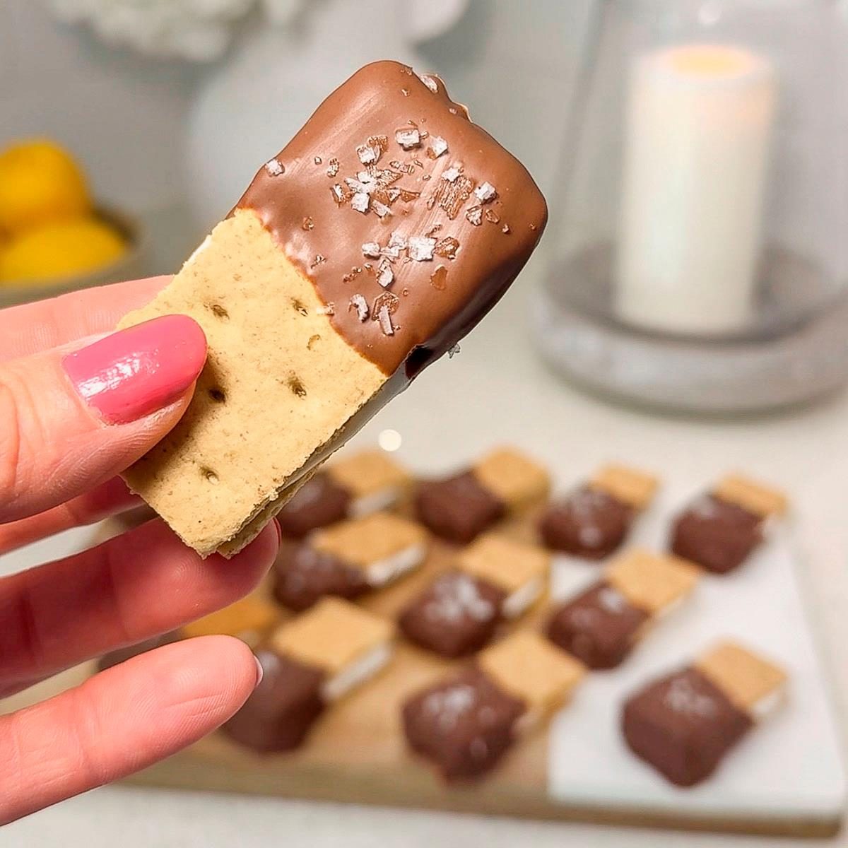 Elise Jesse’s S’mores Bites