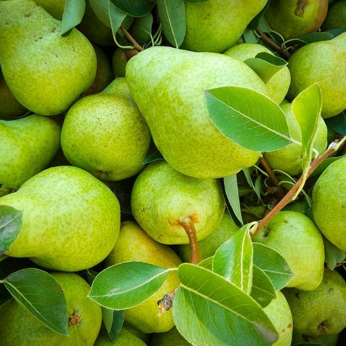 Green pears with leaves